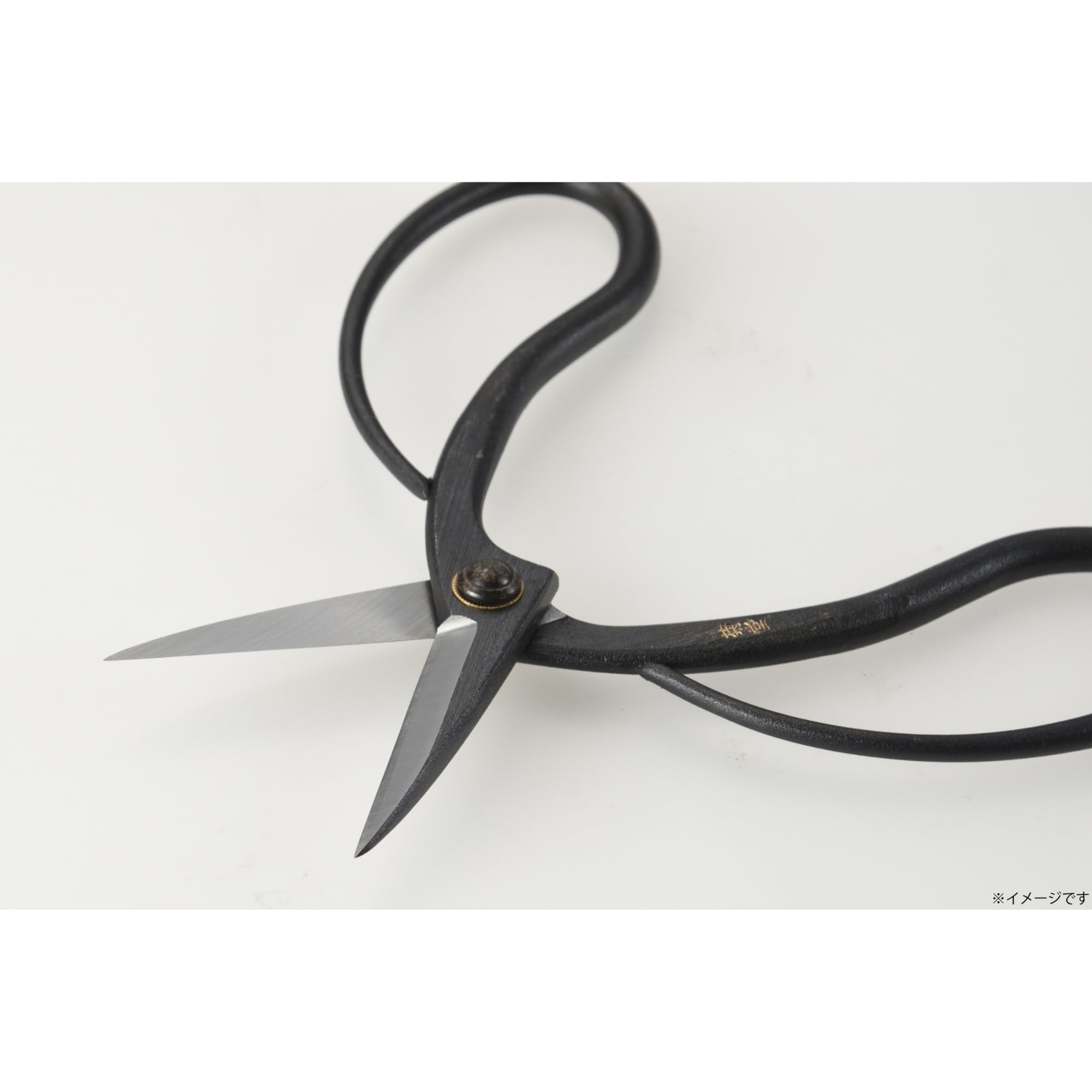 Amazon.co.jp: 高儀(Takagi) 菊堂 盆栽鋏 鋼付 180mm 鉢物 整枝